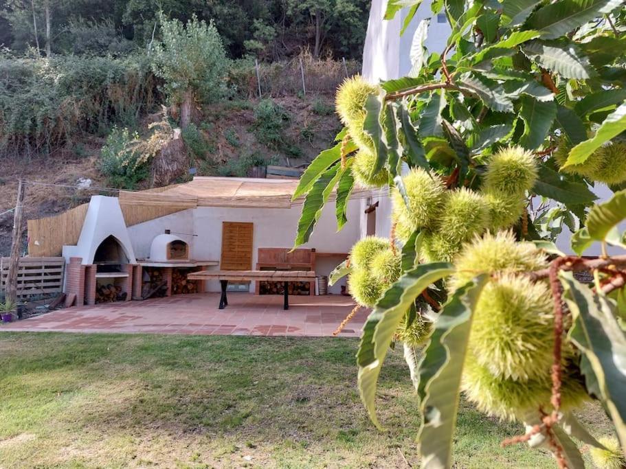 Casa Barranco Βίλα Júzcar Εξωτερικό φωτογραφία
